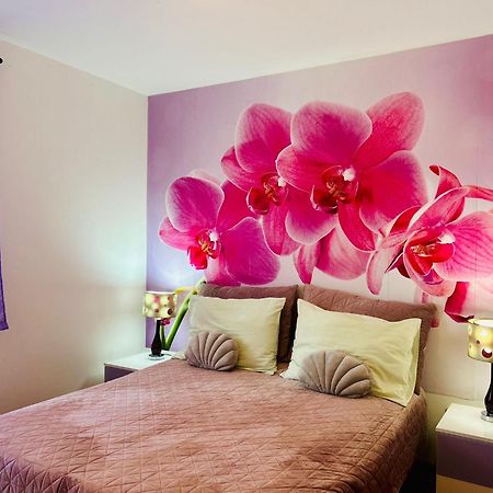 Villa Kiki Bol Ngoại thất bức ảnh