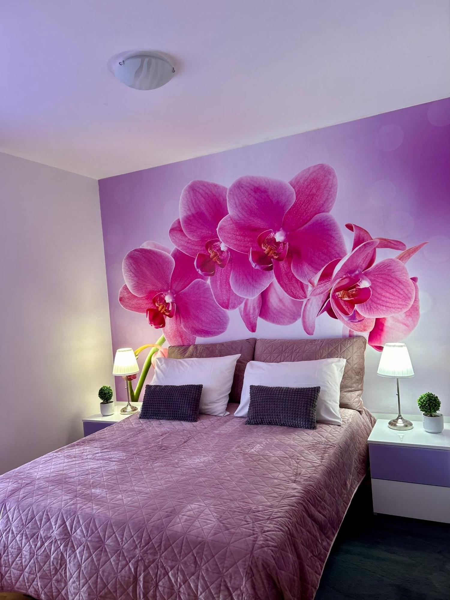 Villa Kiki Bol Ngoại thất bức ảnh